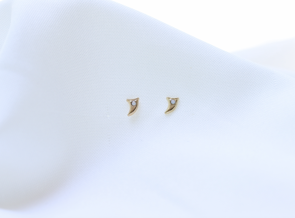 Aretes Cuernito