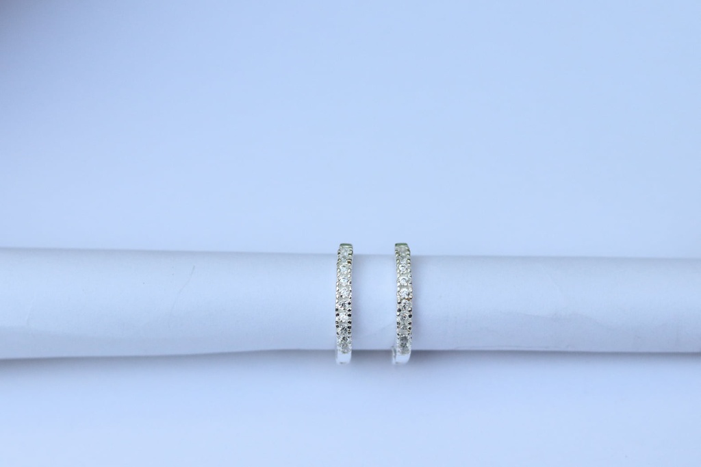 Aretes Paola