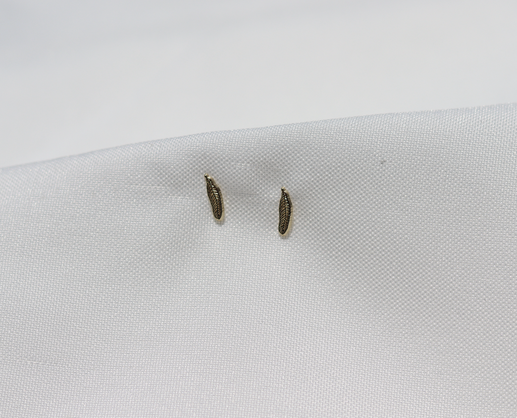 Aretes Pluma