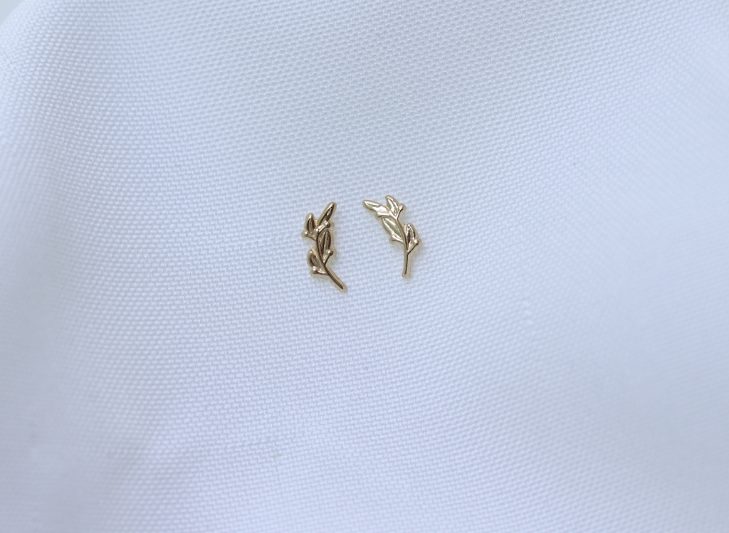 Aretes Ramas