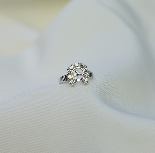 [AnipBrunei] Anillo Brunéi