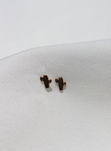 Aretes Cactus Rayado