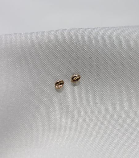 Aretes Caracol