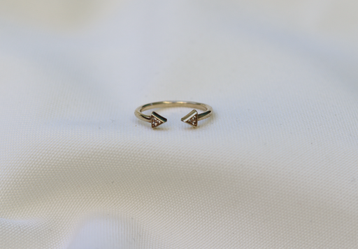 [AnioCanada] Anillo Canadá