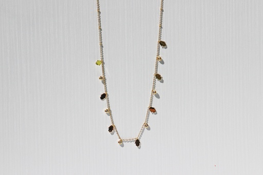 [collaiDenver] Collar Denver