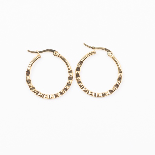 [ArosaiMiriam] Aretes Miriam