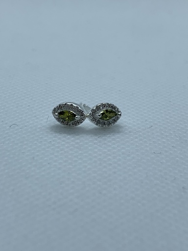 [ArepFlora] Aretes Flora